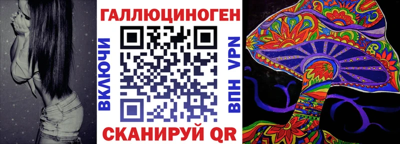 darknet состав  купить   Ессентуки  Галлюциногенные грибы MAGIC MUSHROOMS 