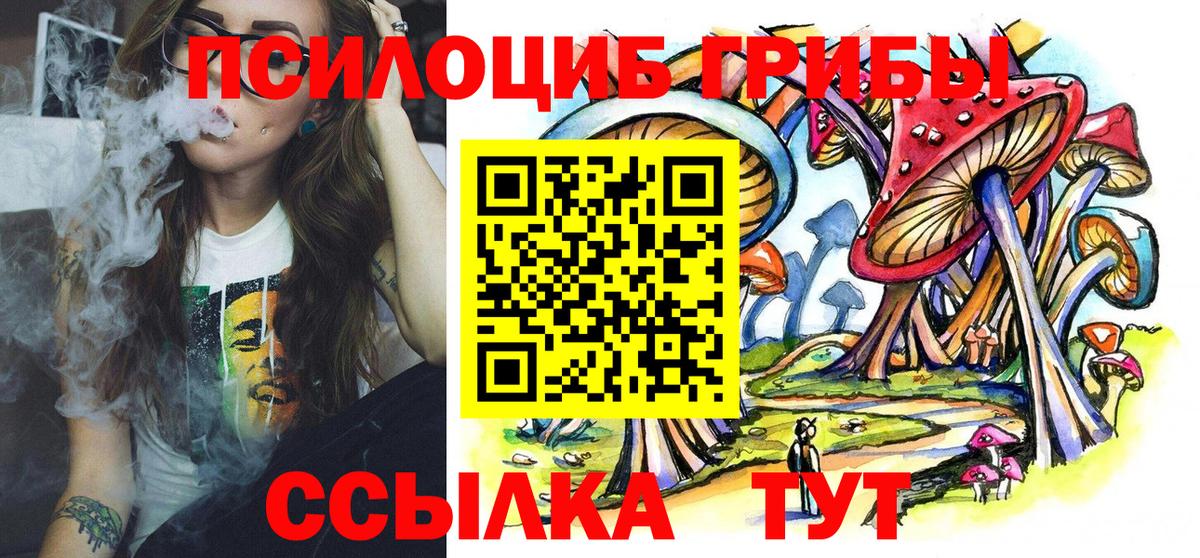 Псилоцибиновые грибы прущие грибы  Вход с VPN  Ессентуки 