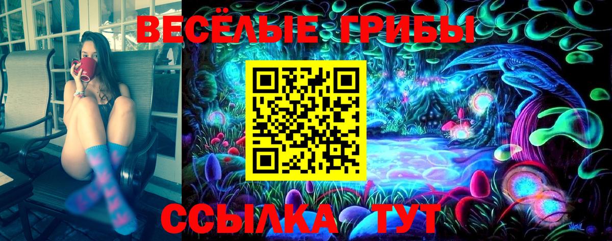 Псилоцибиновые грибы GOLDEN TEACHER Ессентуки