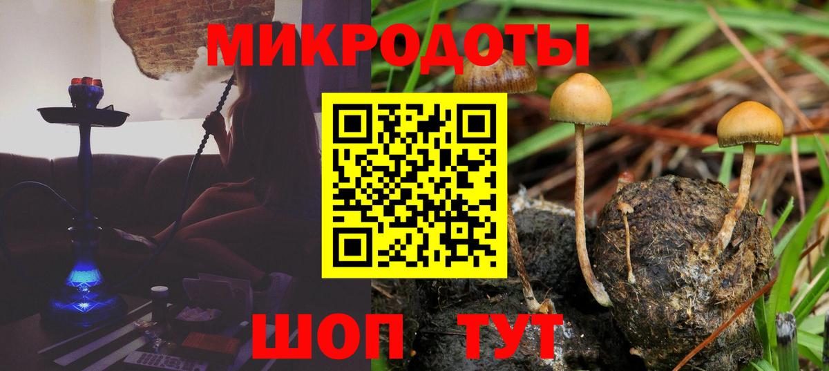 Каннабис Ессентуки