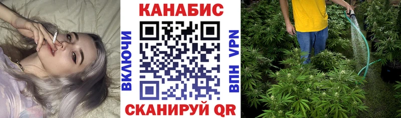 Шишки марихуана марихуана  Ессентуки 